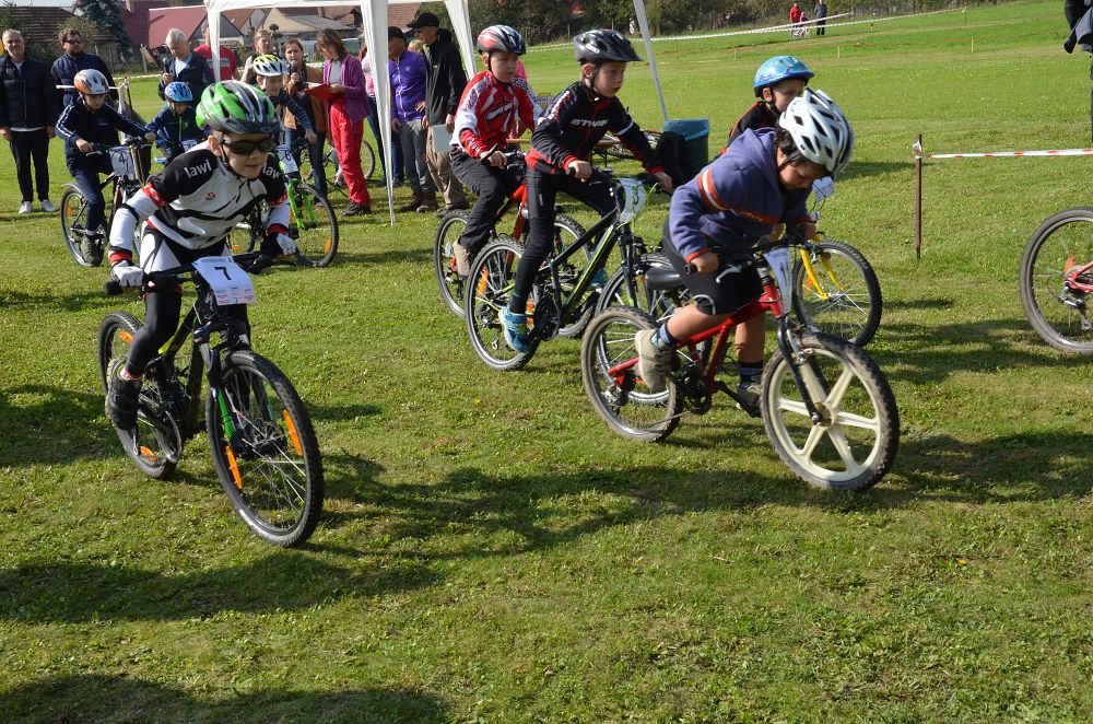 Konárovický kořen 2014