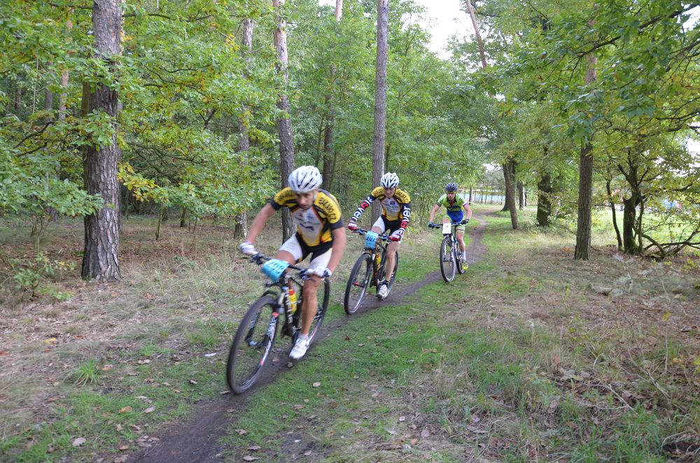 Konárovický kořen 2014