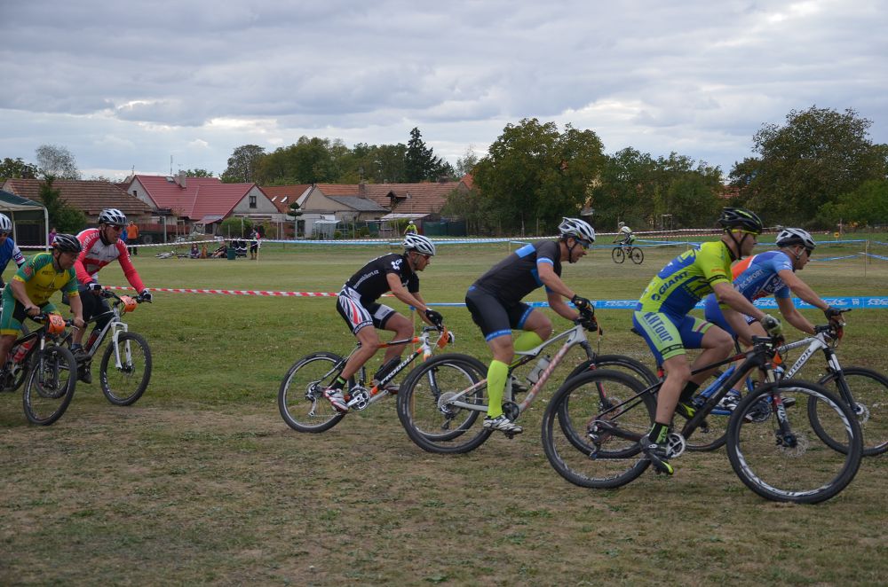 Konárovický kořen 2015-1
